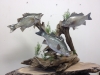3 white bass on table top driftwood